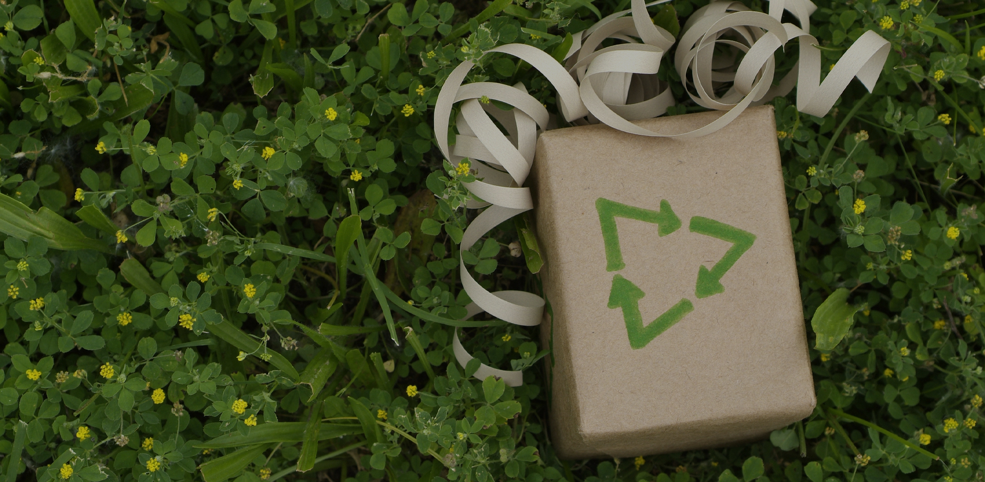 Wenchen Packaging s vami buduje udržateľnú ekológiu